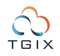 TGIX Cloud Solution 